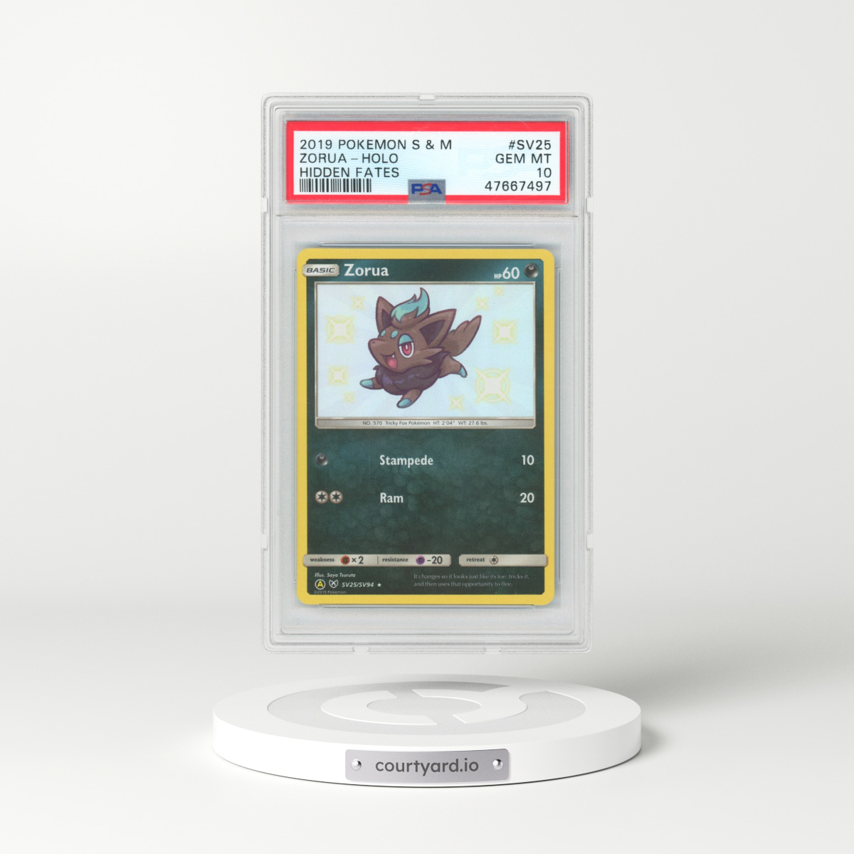 2019 Pokémon Sun & Moon Hidden Fates #SV25 Zorua - Holo (PSA 10 GEM MINT)