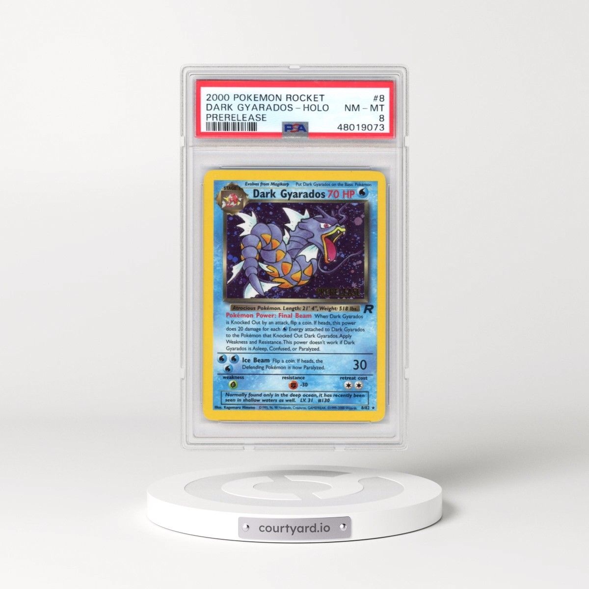 1999 Team Rocket #8 Dark Gyarados - League Prerelease Promo (PSA 8 NM-MT)
