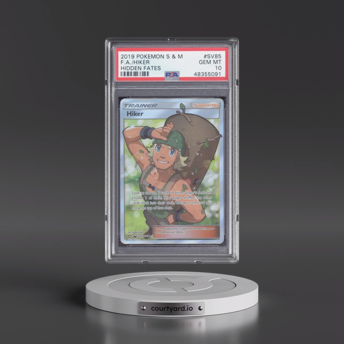 2019 Pokémon Sun & Moon Hidden Fates #SV85 Hiker - Full Art (PSA 10 GEM MINT)