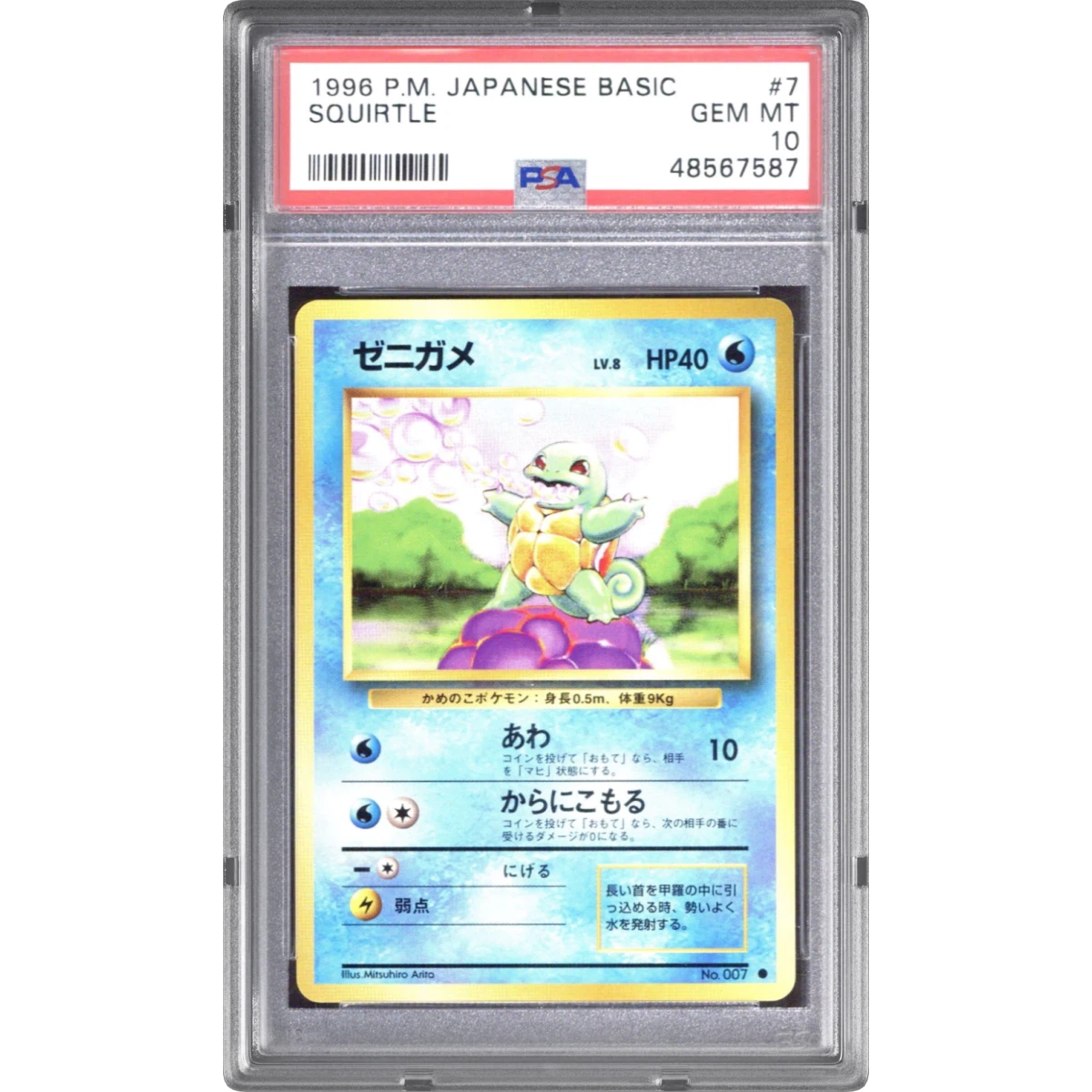 Squirtle card artwork