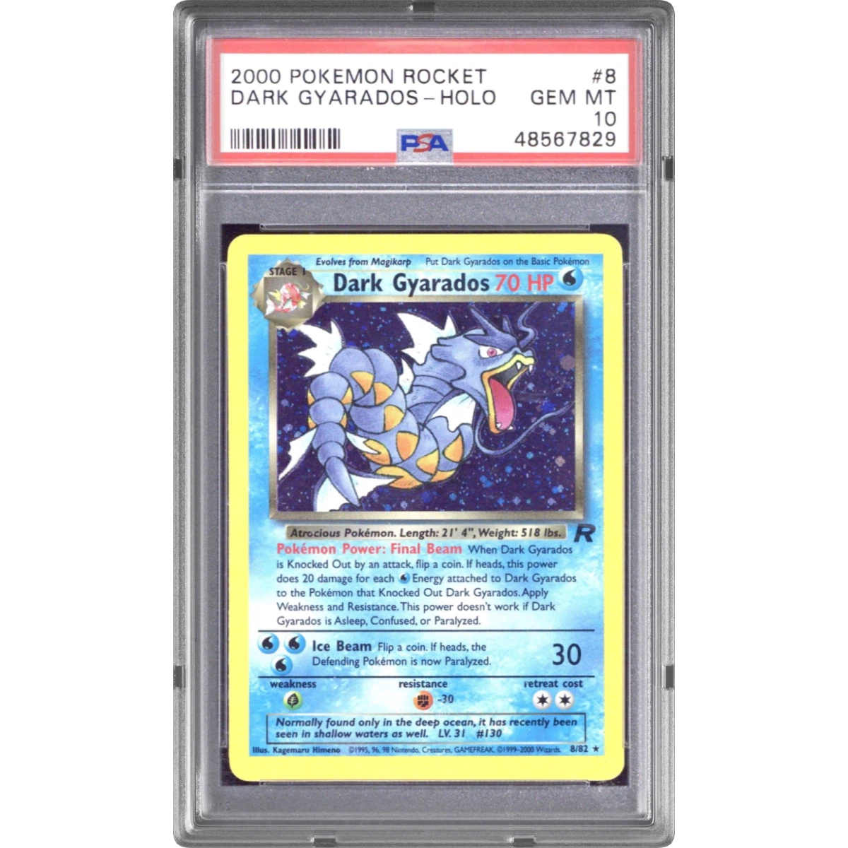 Dark Gyarados card artwork