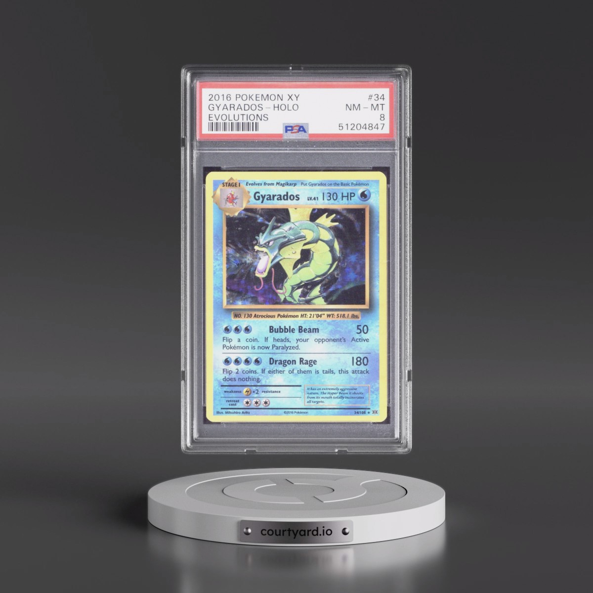 2016 Pokémon XY Evolutions #34 Gyarados - Holo (PSA 8 NM-MT)