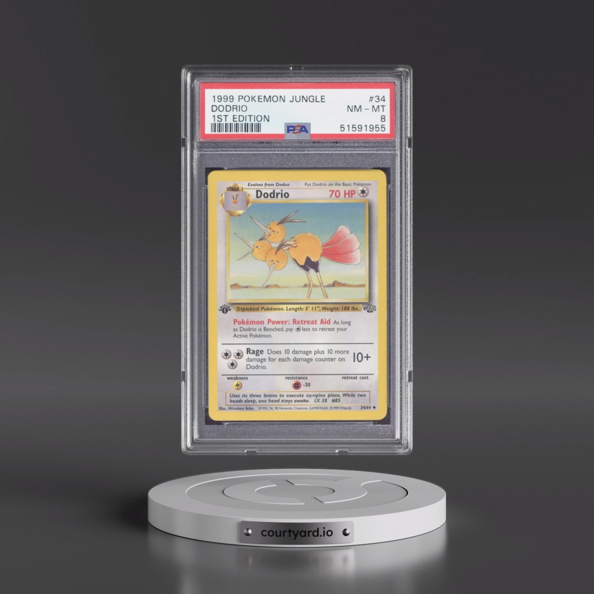 1999 Pokémon Jungle #34 Dodrio - 1st Edition (PSA 8 NM-MT)
