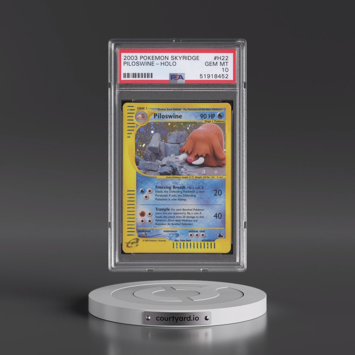 2003 Pokémon Skyridge #H22 Piloswine - Holo (PSA 10 GEM MINT)