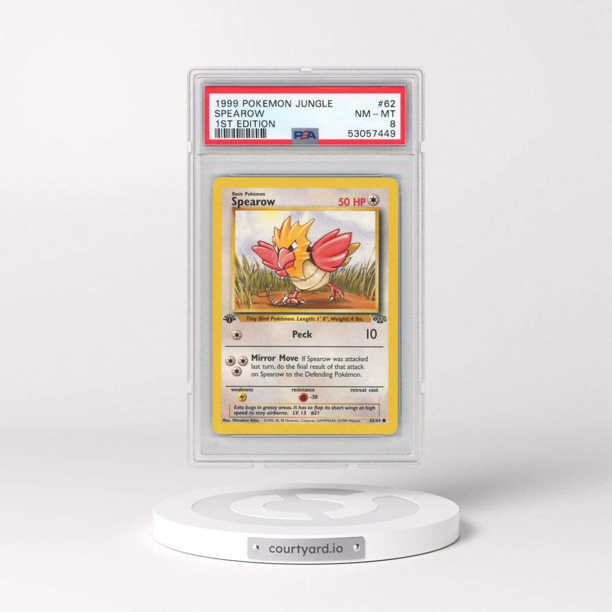 1999 Pokémon Jungle #62 Spearow - 1st Edition (PSA 8 NM-MT)