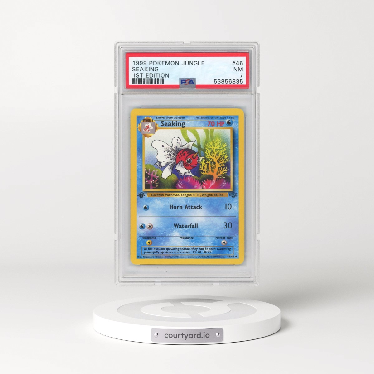 1999 Pokémon Jungle #46 Seaking - 1st Edition (PSA 7 NM)