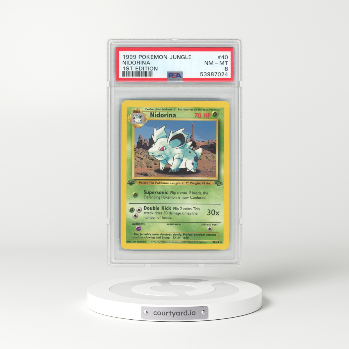 1999 Jungle #40 Nidorina - 1st Edition (PSA 8 NM-MT)