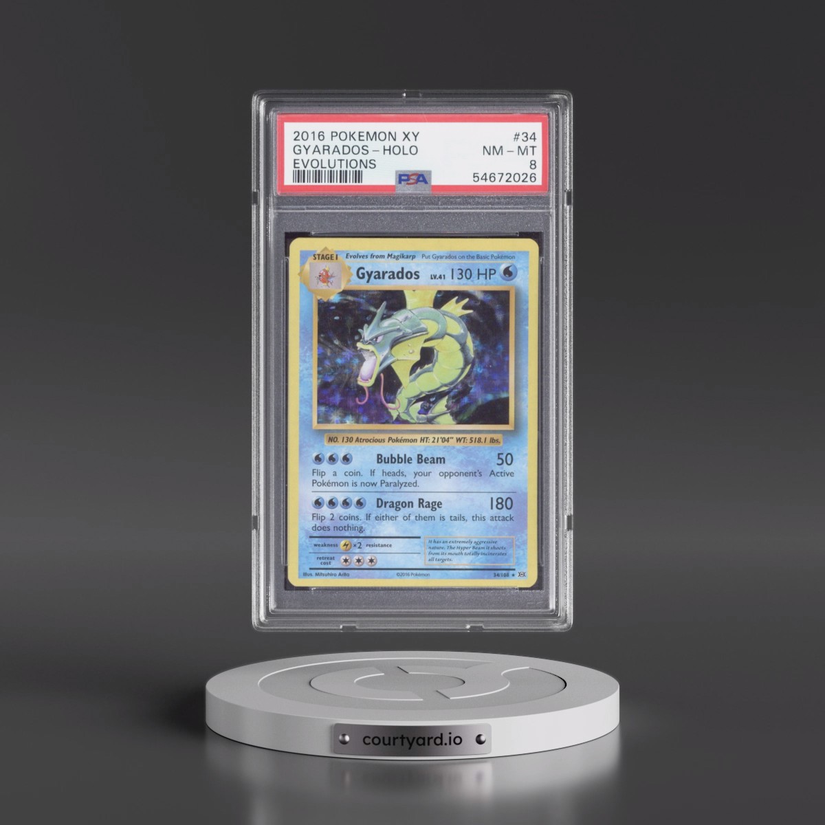 2016 Pokémon XY Evolutions #34 Gyarados - Holo (PSA 8 NM-MT)