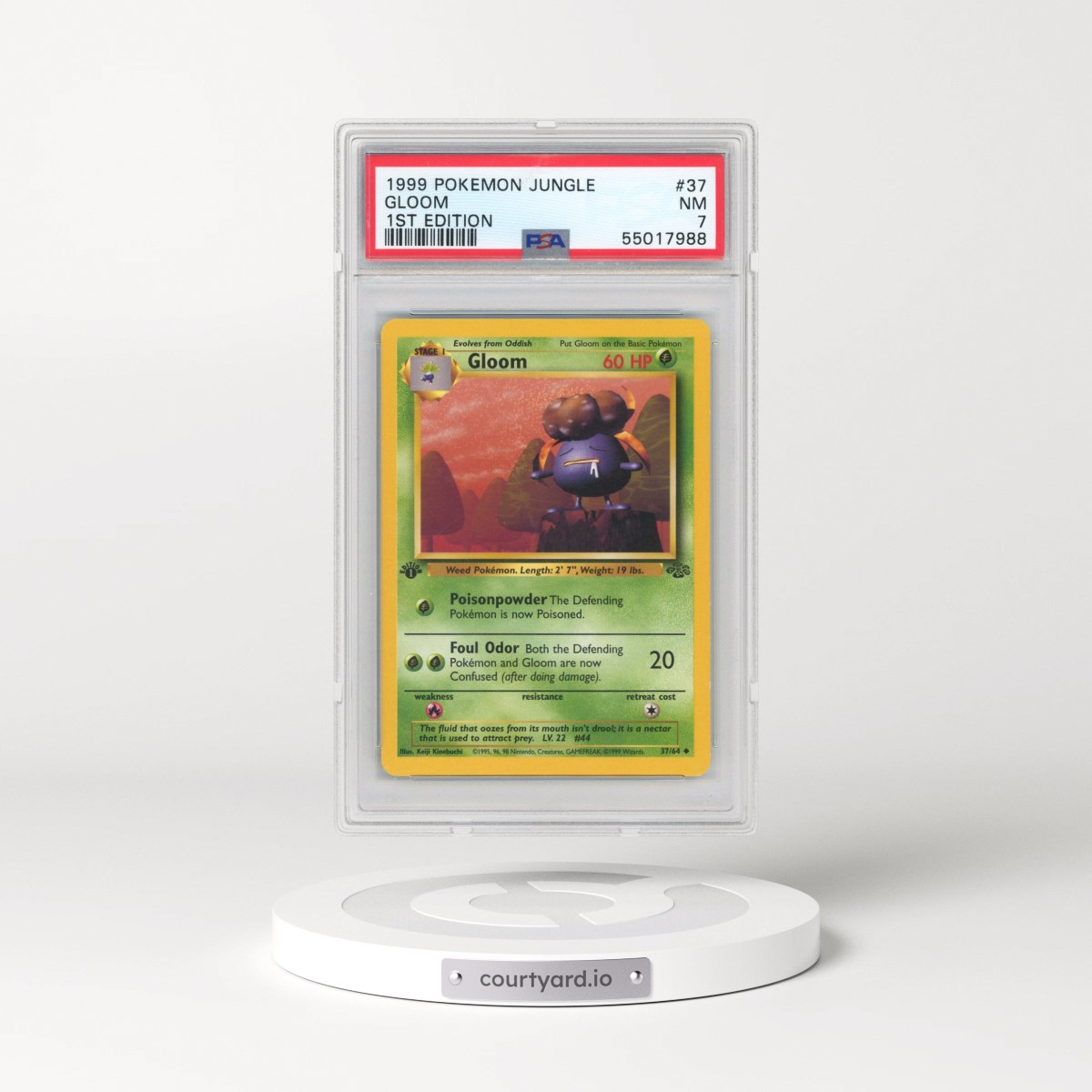 1999 Pokémon Jungle #37 Gloom - 1st Edition (PSA 7 NM)