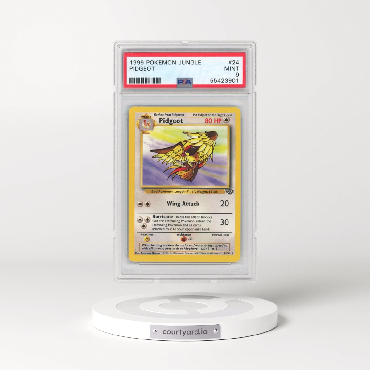 1999 Pokémon Jungle #24 Pidgeot (PSA 9 MINT)
