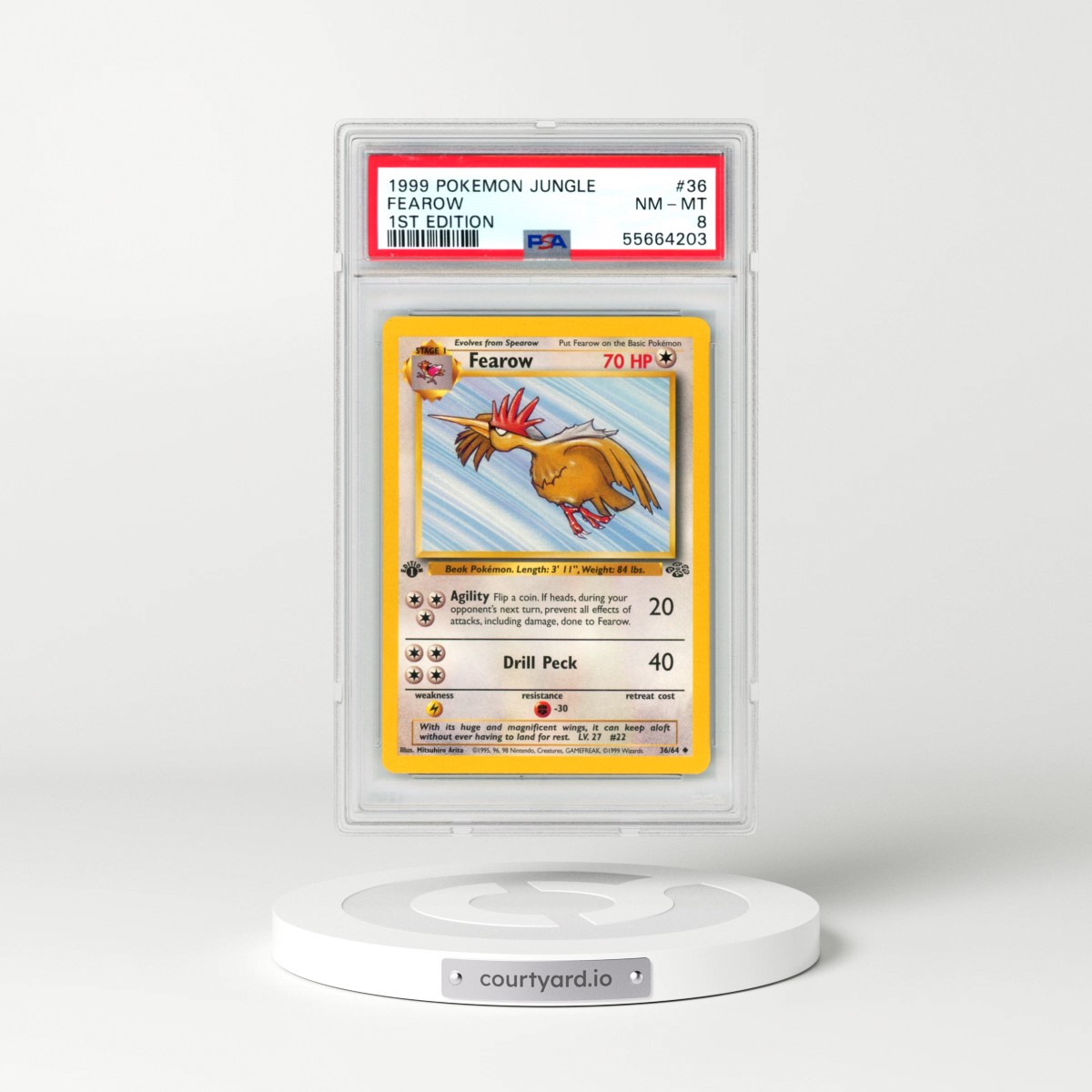 1999 Pokémon Jungle #36 Fearow - 1st Edition (PSA 8 NM-MT)