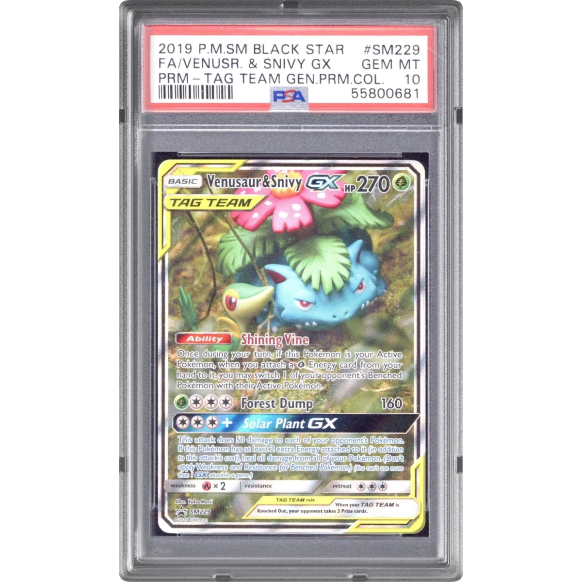 Venusaur & Snivy GX card artwork