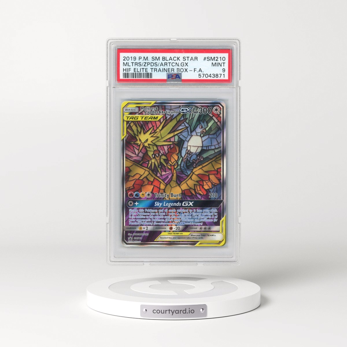 2019 Pokémon SM Black Star Promo #SM210 Moltres & Zapdos & Articuno GX - Holo Full Art Hidden Fates Elite Trainer Box (PSA 9 MINT)