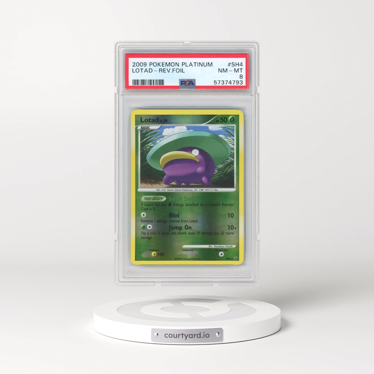2009 Pokémon Platinum #SH4 Lotad - Reverse Foil (PSA 8 NM-MT)
