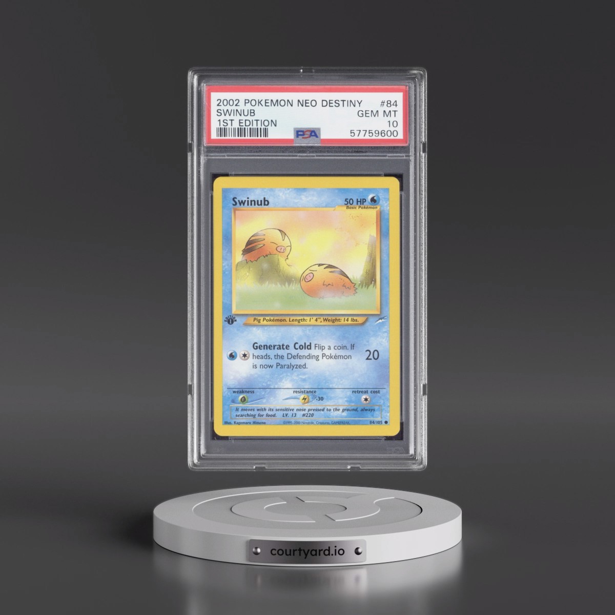 2002 Pokémon Neo Destiny #84 Swinub - 1st Edition (PSA 10 GEM MINT)