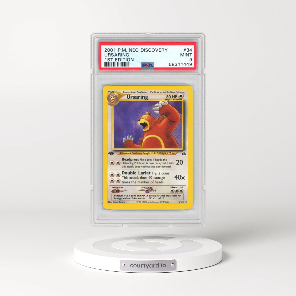 2001 Pokémon Neo Discovery #34 Ursaring - 1st Edition (PSA 9 MINT)