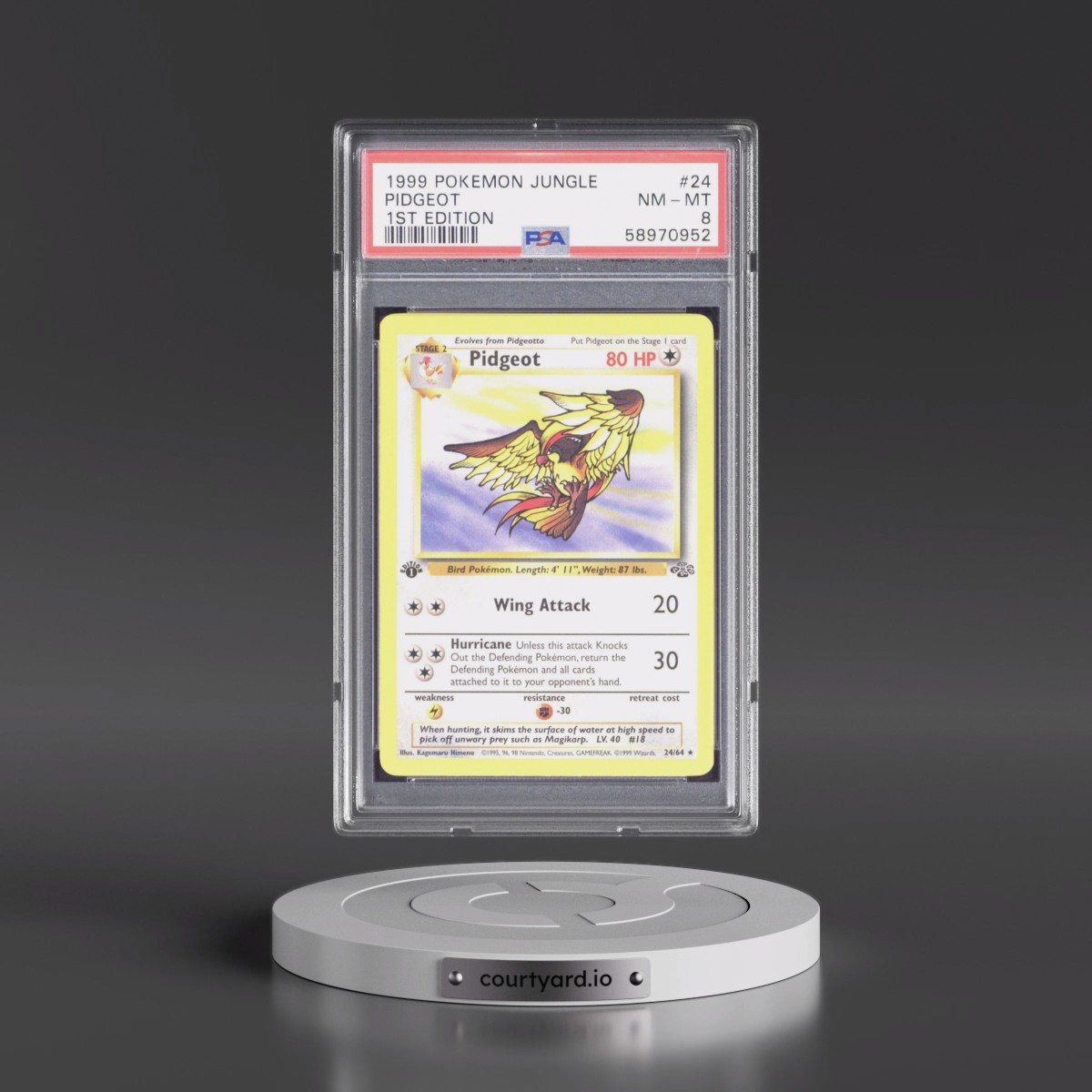 1999 Pokémon Jungle #24 Pidgeot - 1st Edition (PSA 8 NM-MT)
