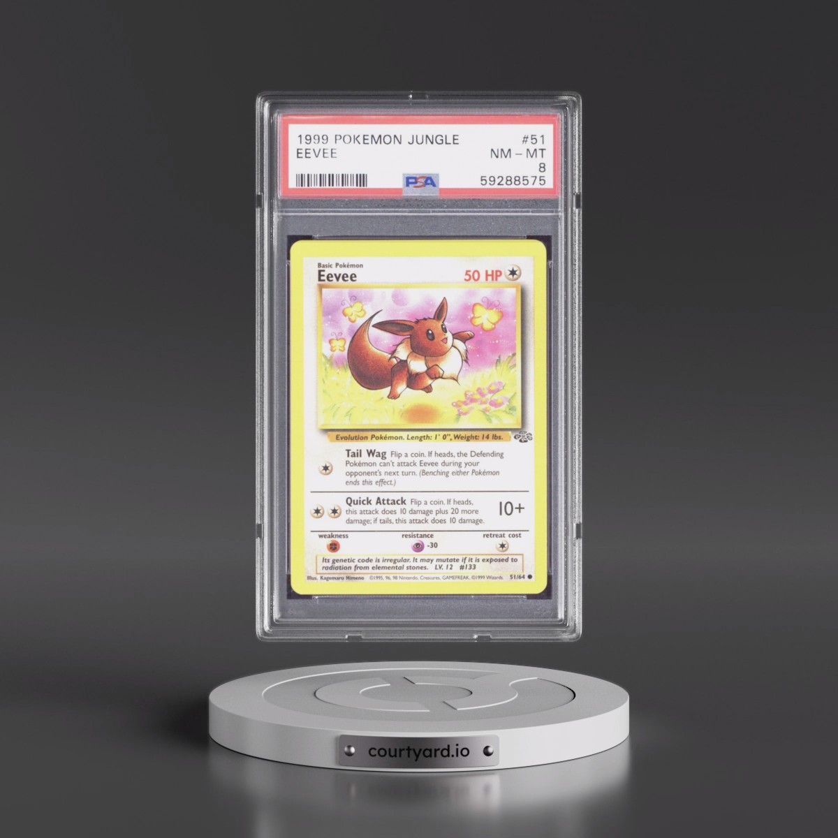 1999 Pokémon Jungle #51 Eevee (PSA 8 NM-MT)