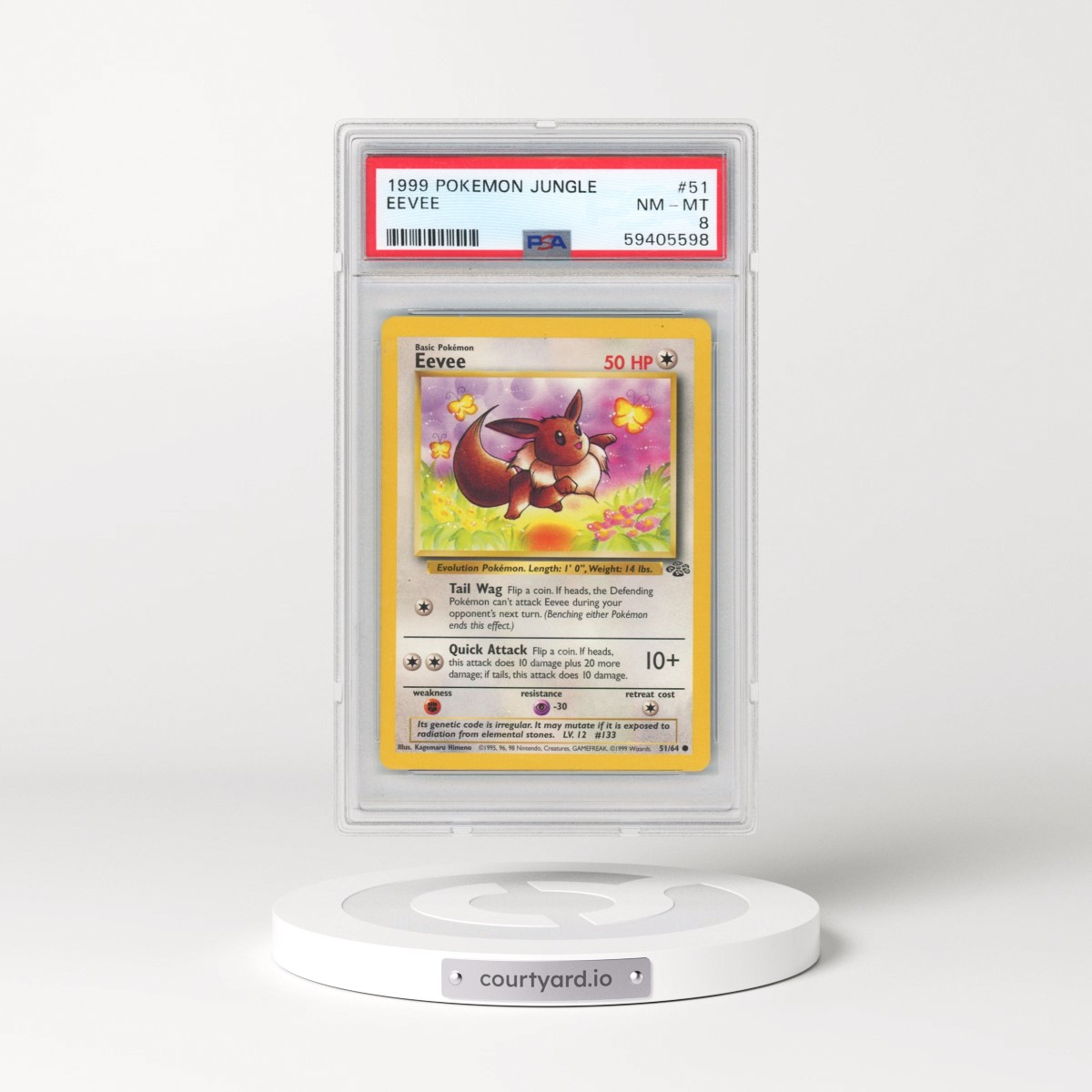 1999 Pokémon Jungle #51 Eevee (PSA 8 NM-MT)