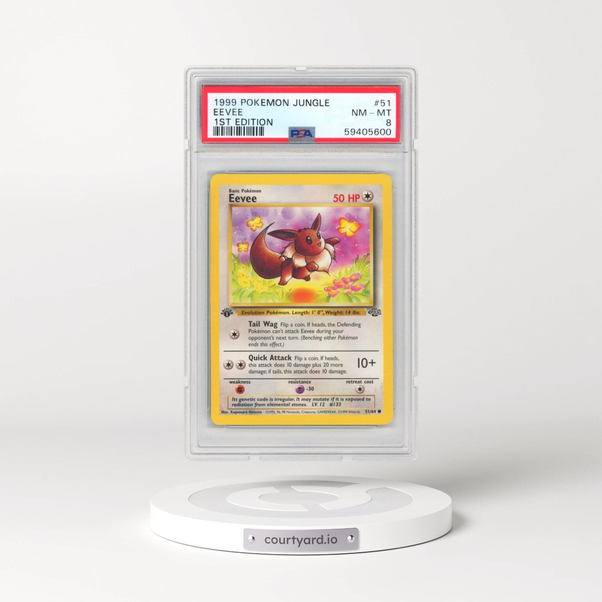 1999 Pokémon Jungle #51 Eevee - 1st Edition (PSA 8 NM-MT)