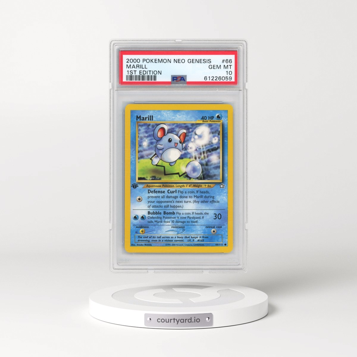 2000 Pokémon Neo Genesis #66 Marill - 1st Edition (PSA 10 GEM MINT)