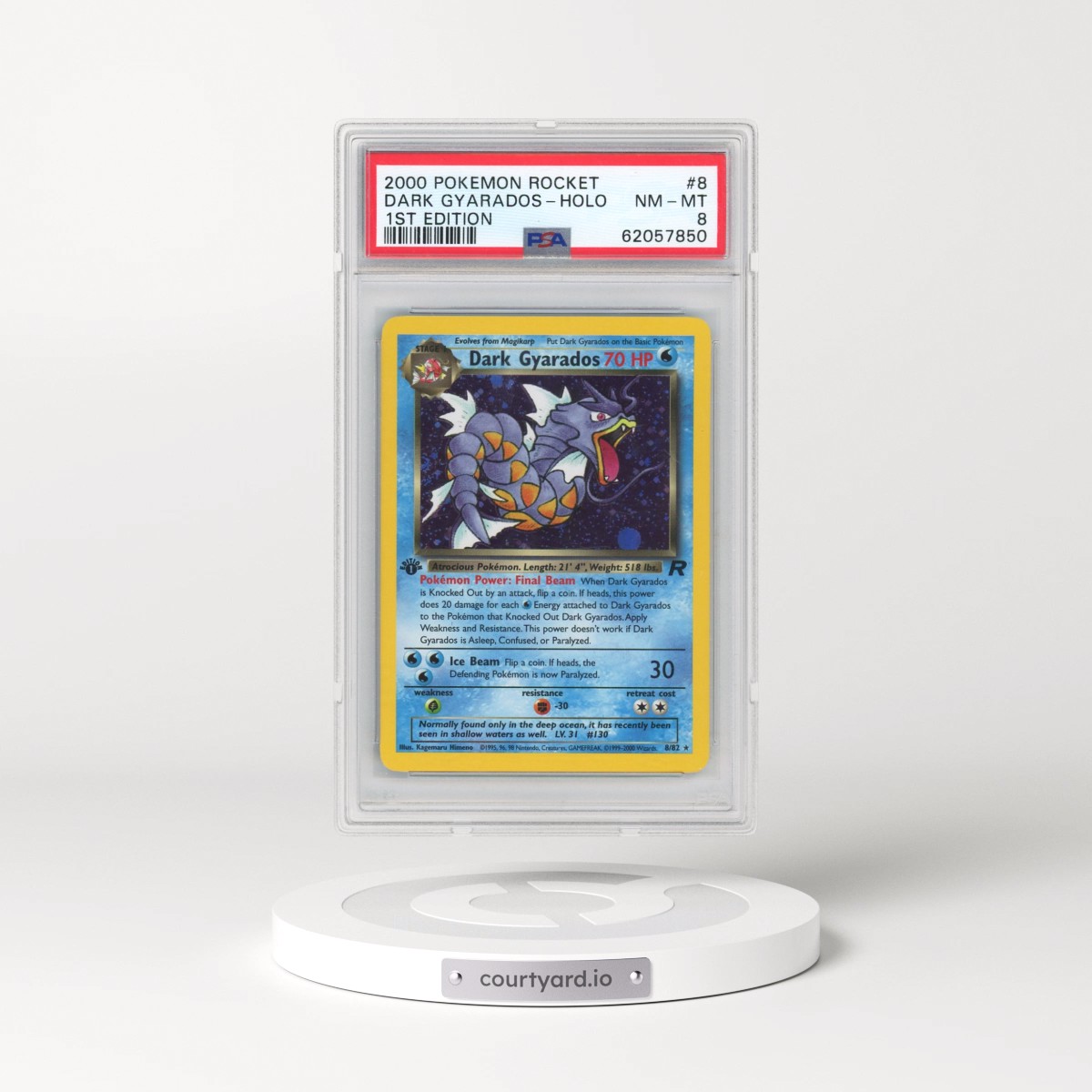 2000 Pokémon Rocket #8 Dark Gyarados - 1st Edition Holo (PSA 8 NM-MT)