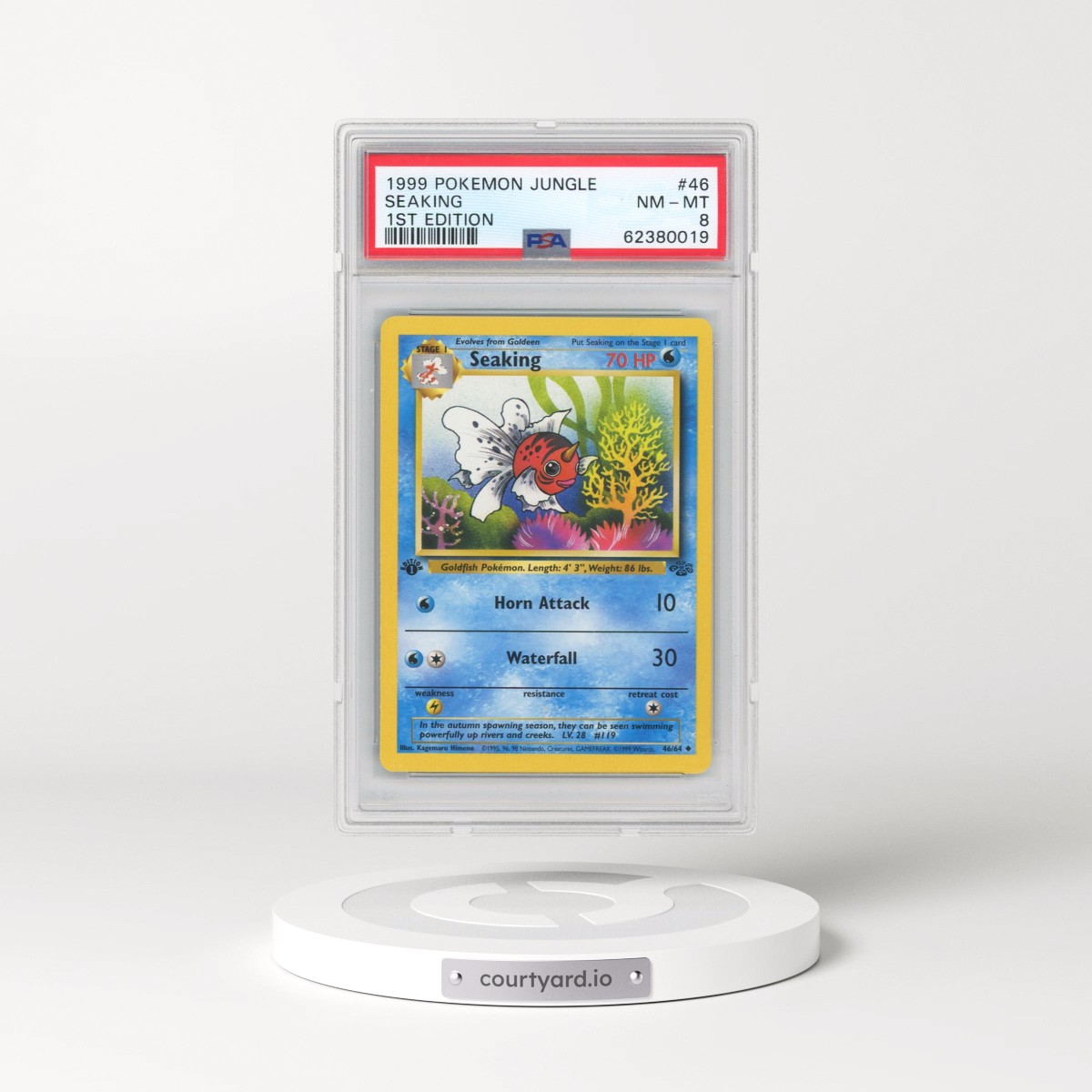 1999 Pokémon Jungle #46 Seaking - 1st Edition (PSA 8 NM-MT)