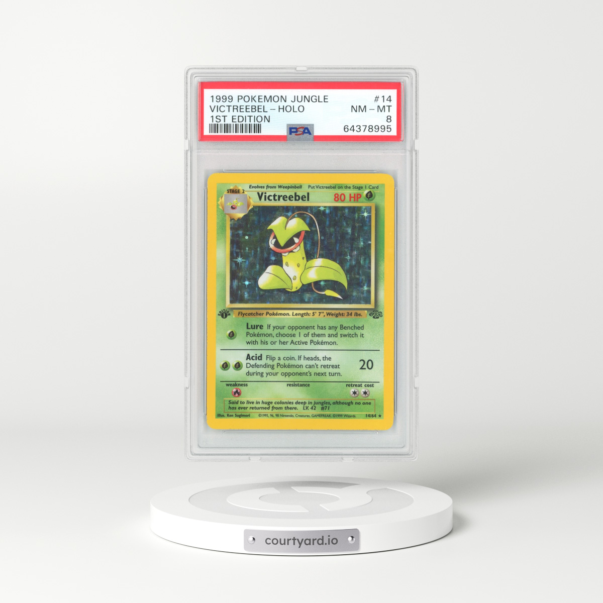 1999 Jungle #14 Victreebel - 1st Edition Holo (PSA 8 NM-MT)