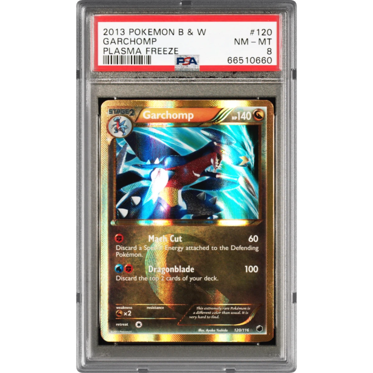 Garchomp card artwork