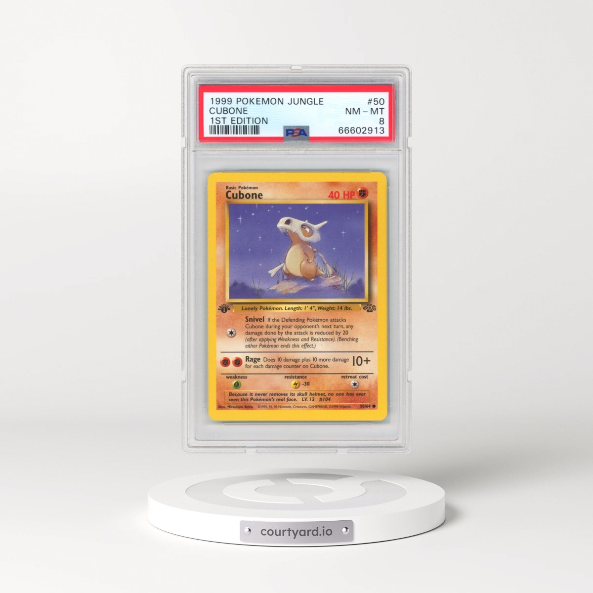1999 Pokémon Jungle #50 Cubone - 1st Edition (PSA 8 NM-MT)