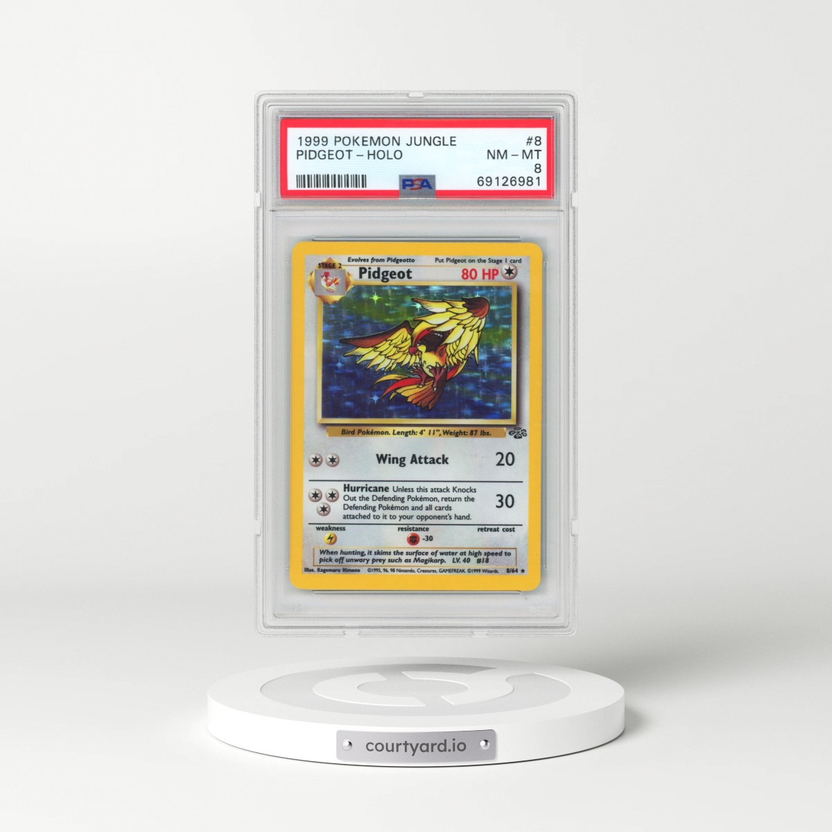 1999 Pokémon Jungle #8 Pidgeot - Holo (PSA 8 NM-MT)