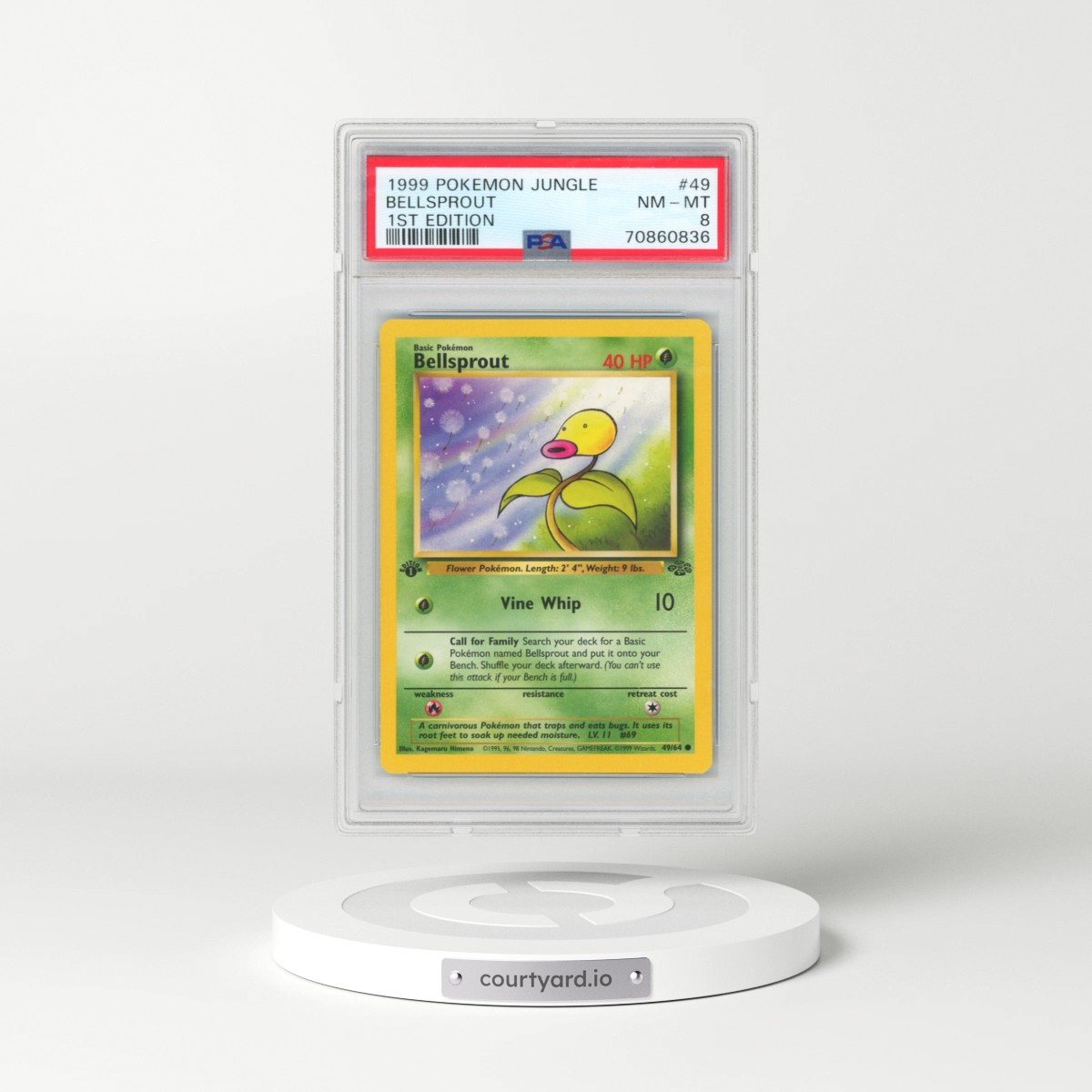 1999 Pokémon Jungle #49 Bellsprout - 1st Edition (PSA 8 NM-MT)