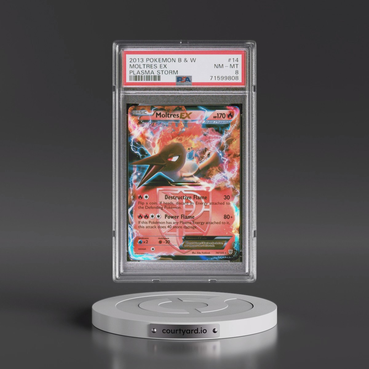 2013 Pokémon Black & White Plasma Storm #14 Moltres EX - Holo (PSA 8 NM-MT)