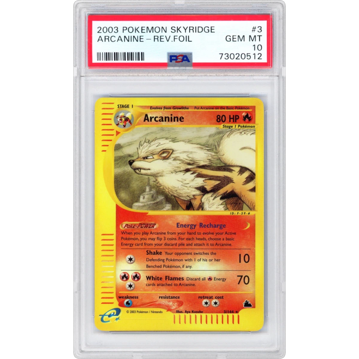 Arcanine card artwork