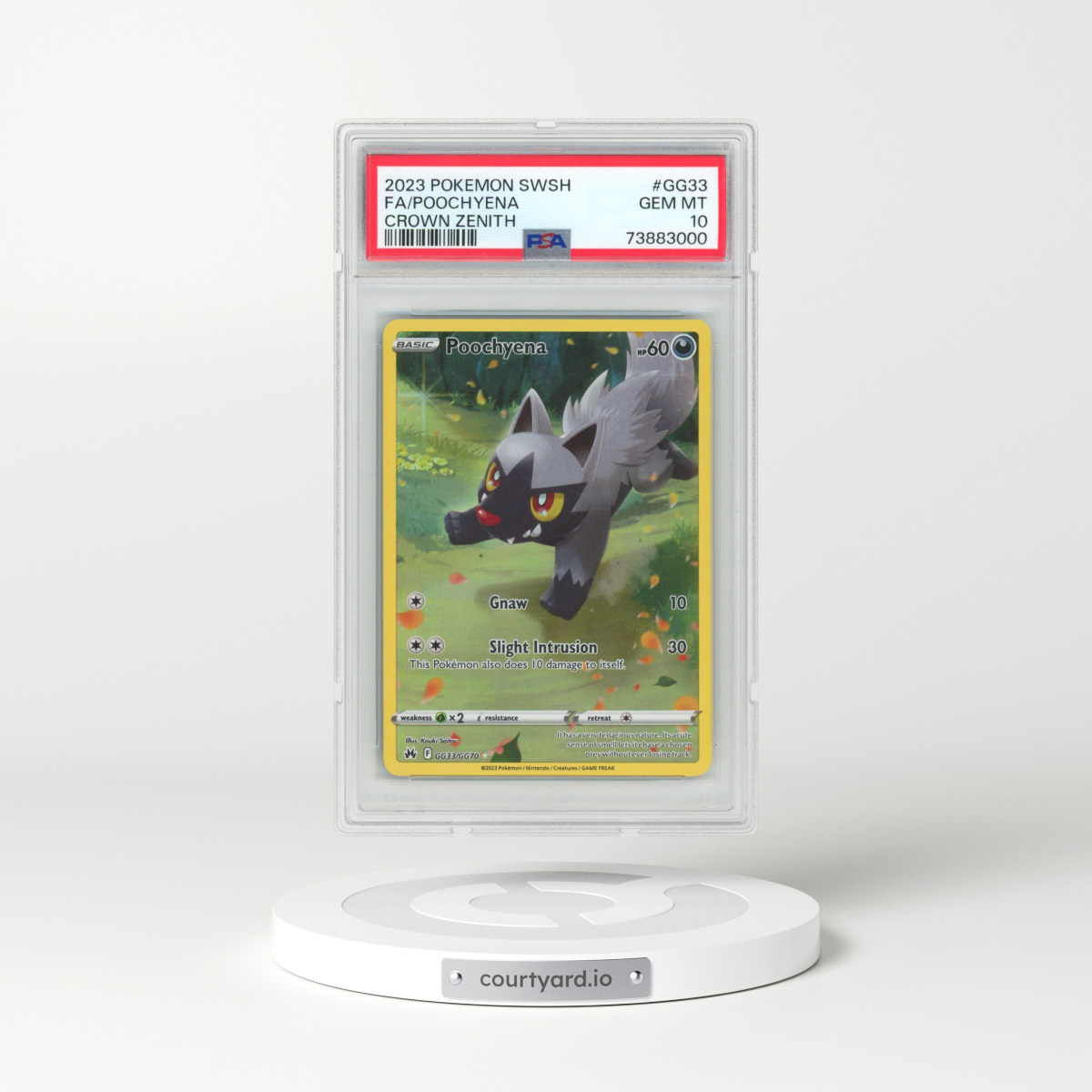 2023 Pokémon Sword and Shield Crown Zenith #GG33 Poochyena - Full Art (PSA 10 GEM MINT)