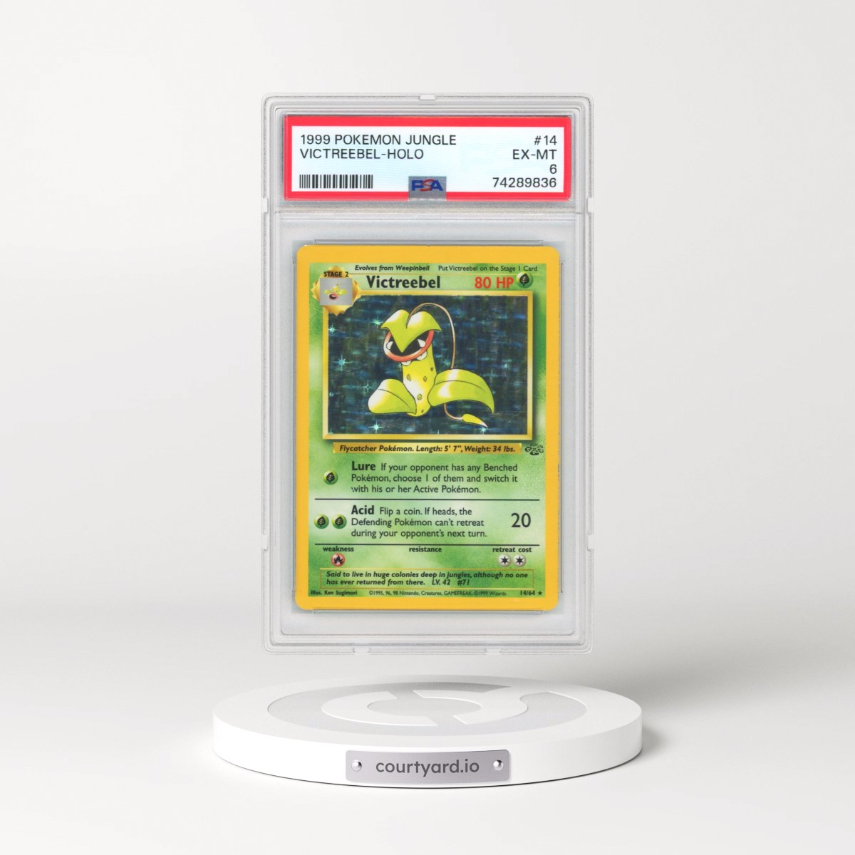 1999 Jungle #14 Victreebel - Holo (PSA 6 EX-MT)