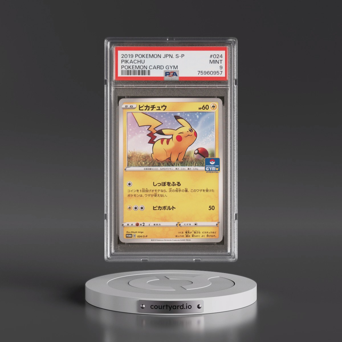 2019 Pokémon S Promo #024 Pikachu - Pokemon Card Gym (PSA 9 MINT)