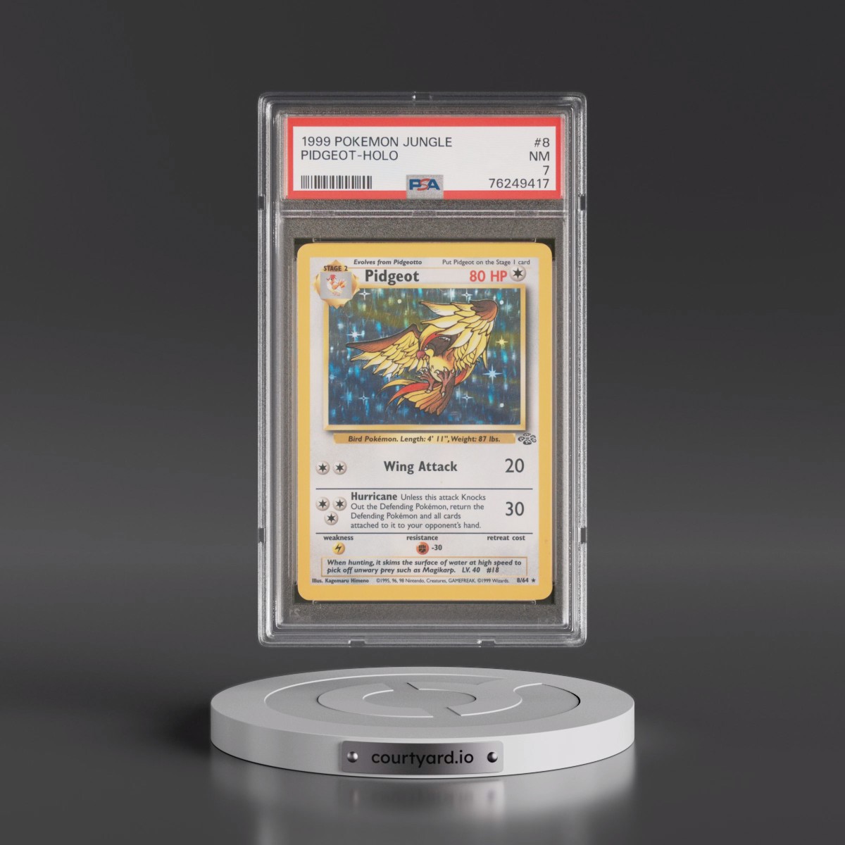 1999 Pokémon Jungle #8 Pidgeot - Holo (PSA 7 NM)