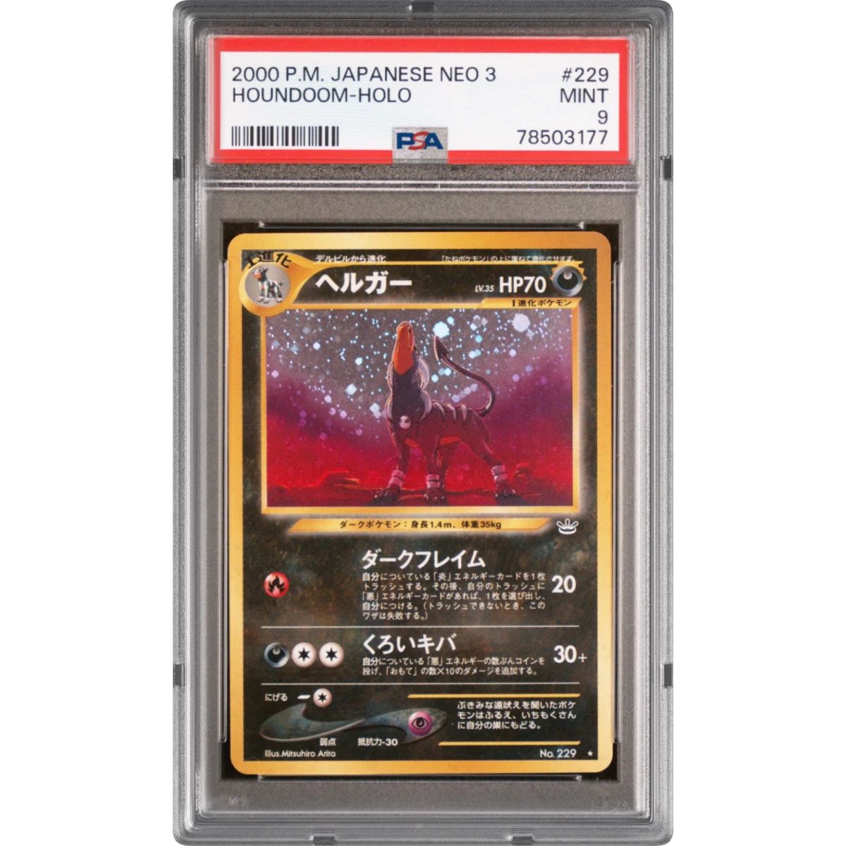 Houndoom card artwork