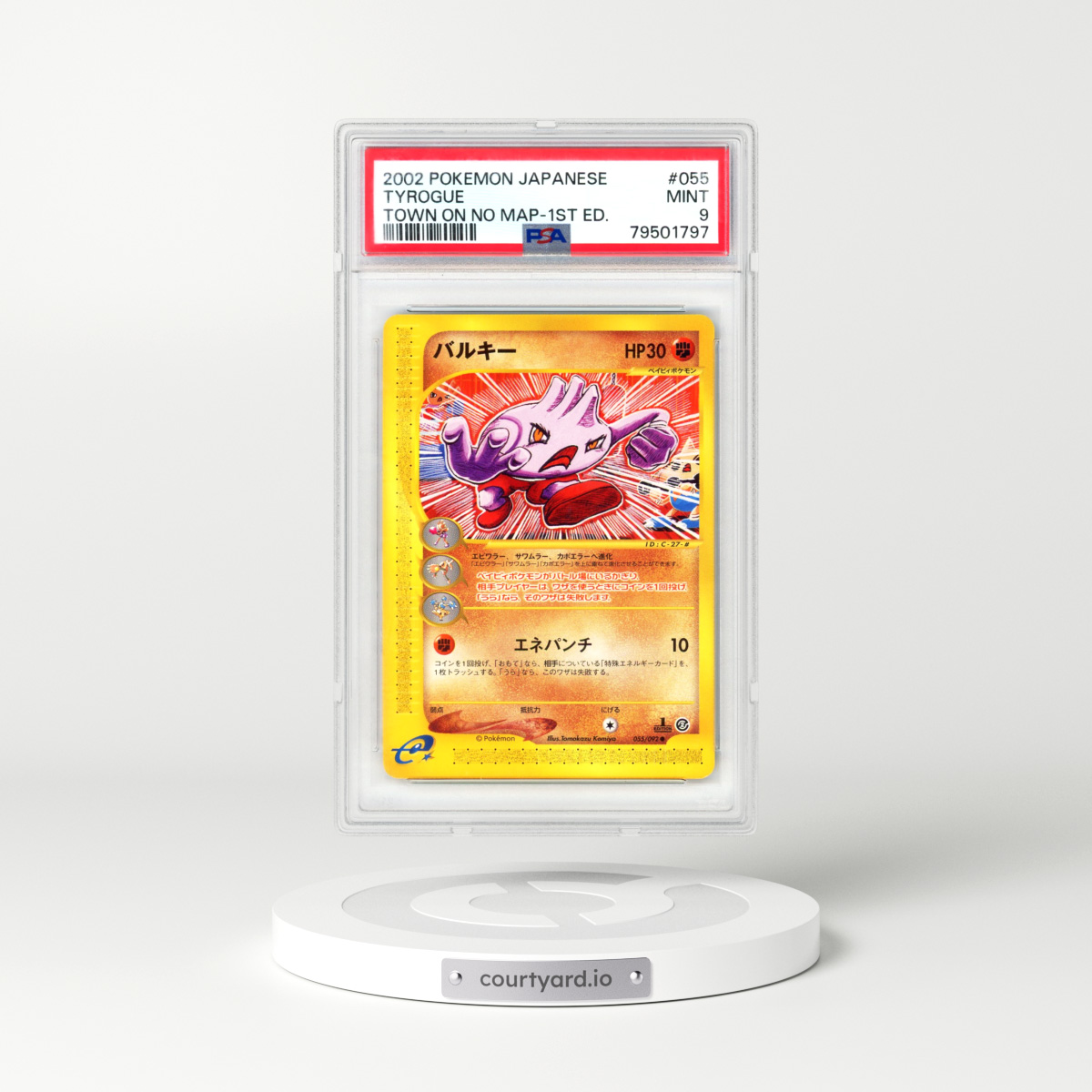 2002 Japanese The Town On No Map #55 Tyrogue - 1st Edition (PSA 9 MINT)