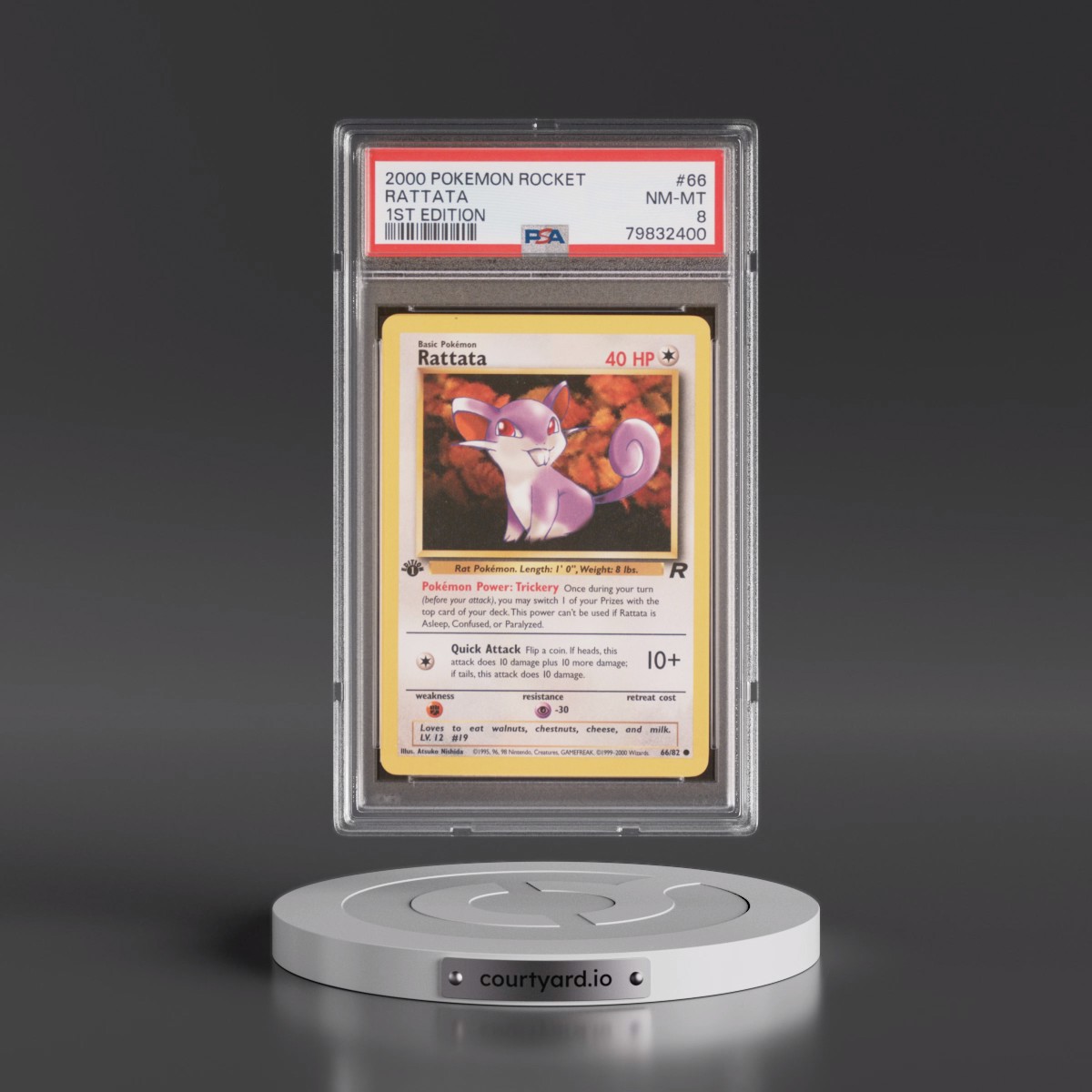 2000 Pokémon Rocket #66 Rattata - 1st Edition (PSA 8 NM-MT)