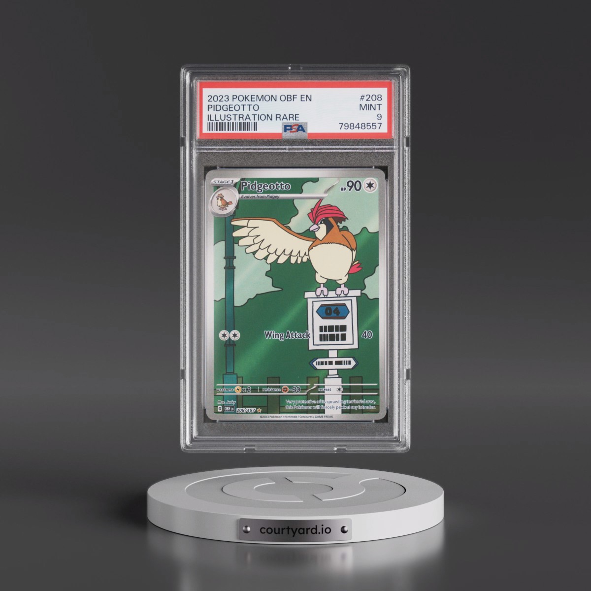 2023 Pokémon Obf EN-Obsidian Flames #208 Pidgeotto - Illustration Rare (PSA 9 MINT)