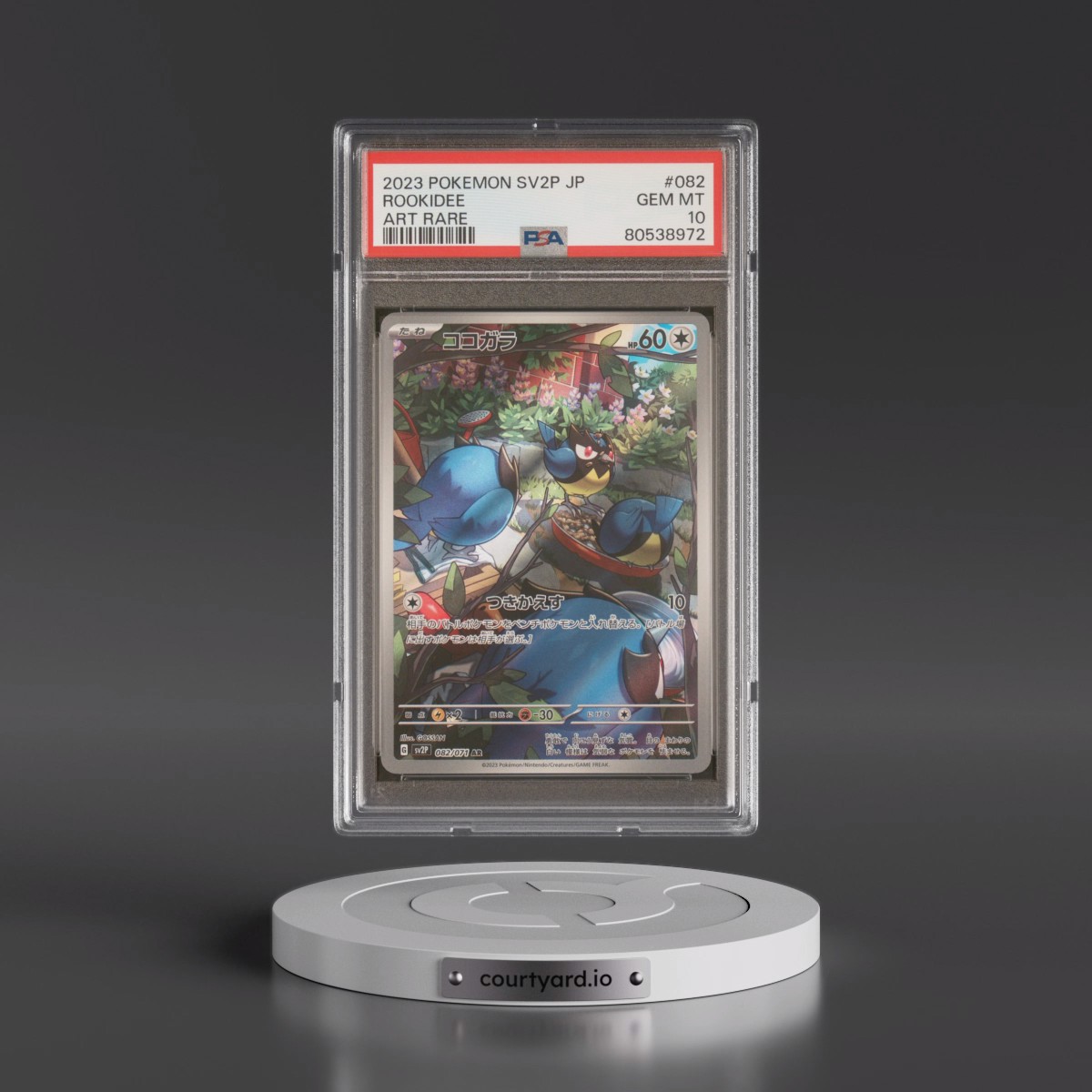 2023 Pokémon Sv2p-Snow Hazard #082 Rookidee - Art Rare (PSA 10 GEM MINT)