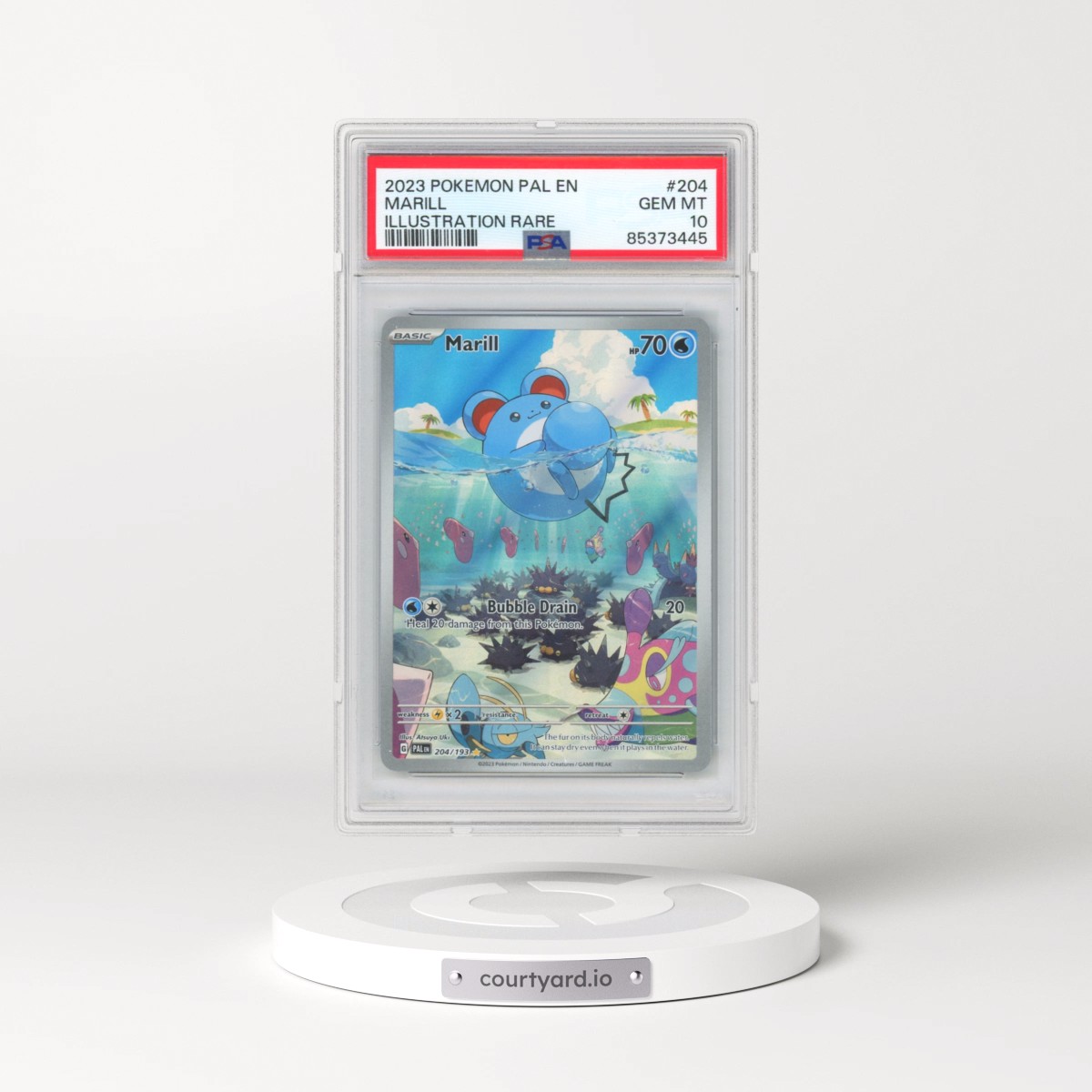 2023 Pokémon Pal EN-Paldea Evolved #204 Marill - Illustration Rare (PSA 10 GEM MINT)