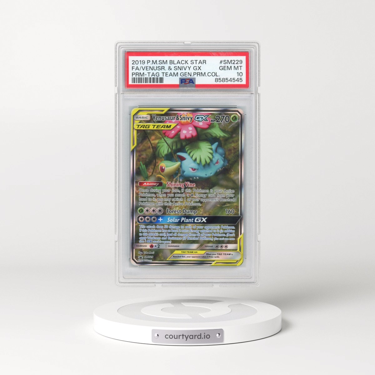 2019 Pokémon SM Black Star Promo #SM229 Venusaur & Snivy GX - Holo Full Art Tag Team Generations Premium Collection (PSA 10 GEM MINT)