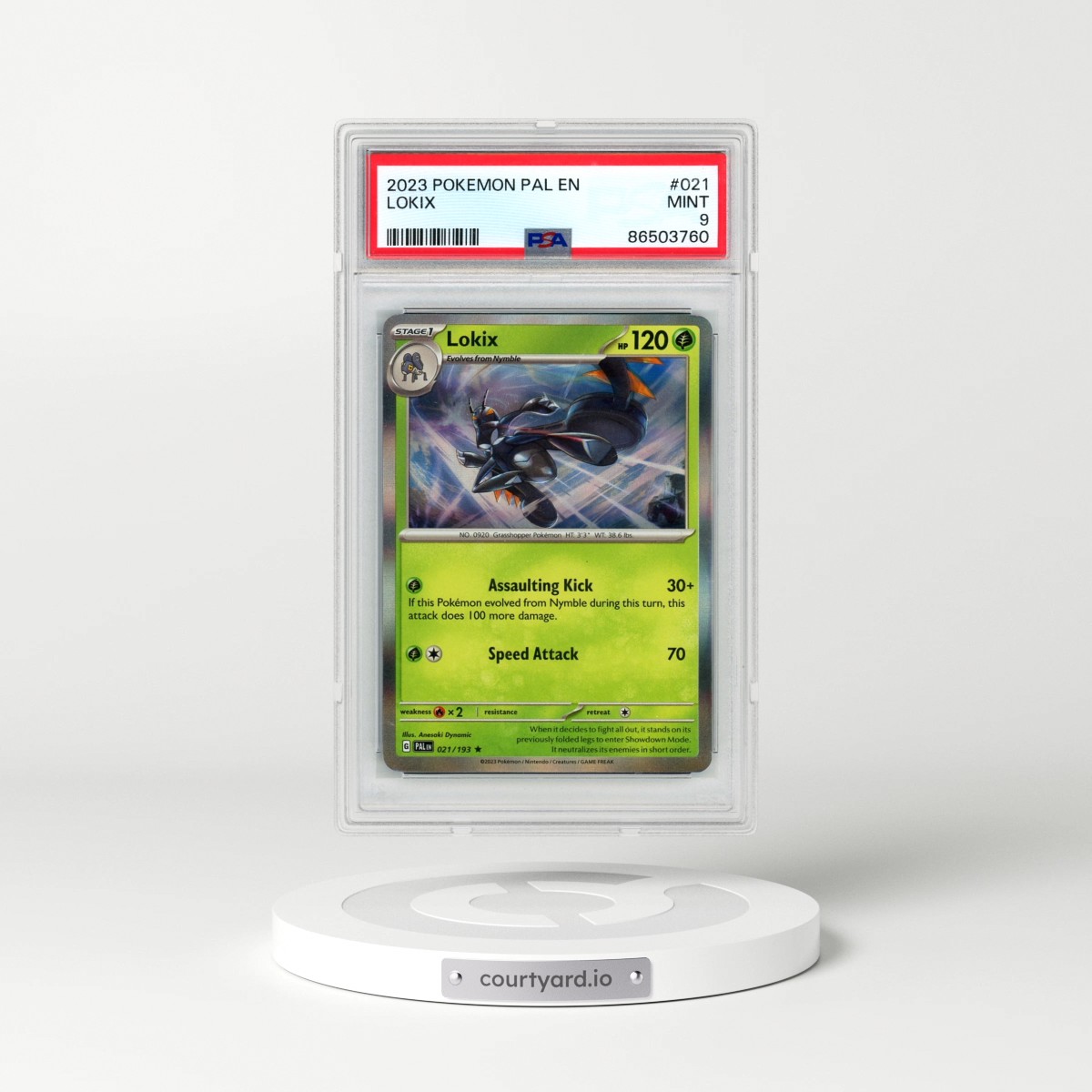 2023 Pokémon Pal EN-Paldea Evolved #021 Lokix (PSA 9 MINT)