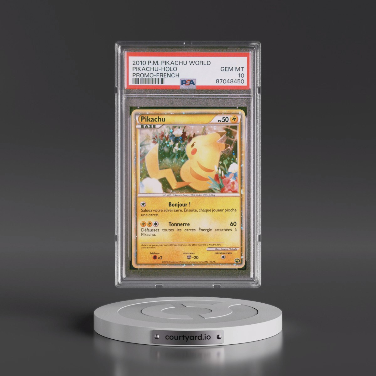 2010 Pokémon Pikachu World Promo Pikachu - Holo (PSA 10 GEM MINT)