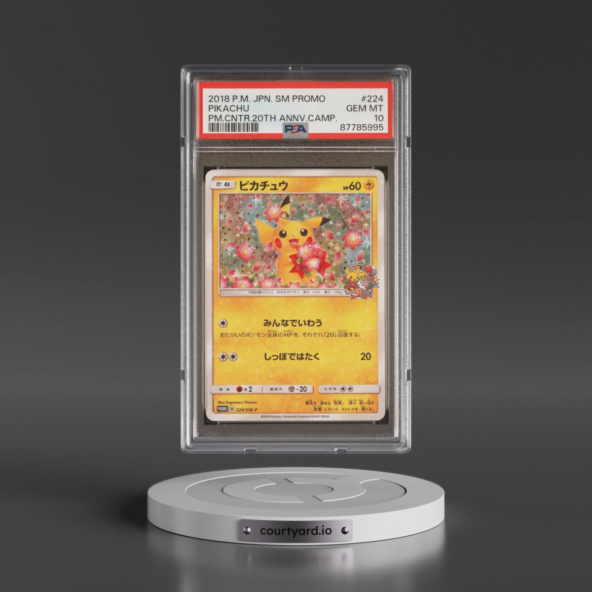 2018 Pokémon SM Promo #224 Pikachu - Pokemon Center 20th Anniversary Campaign (PSA 10 GEM MINT)