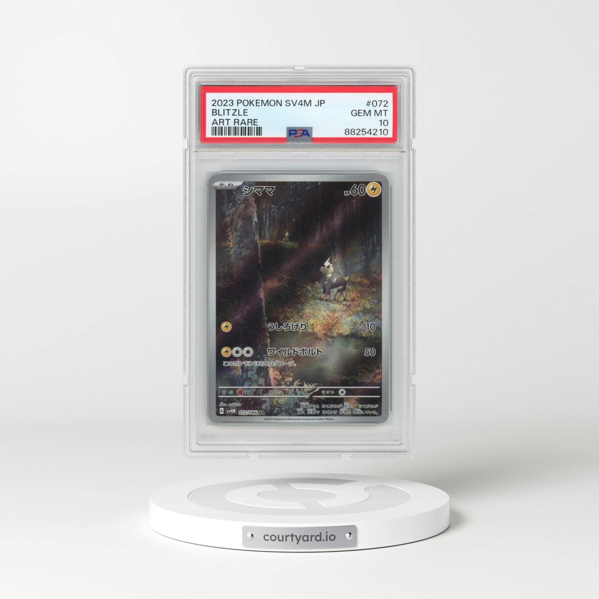 2023 Pokémon Sv4m-Future Flash #072 Blitzle - Art Rare (PSA 10 GEM MINT)