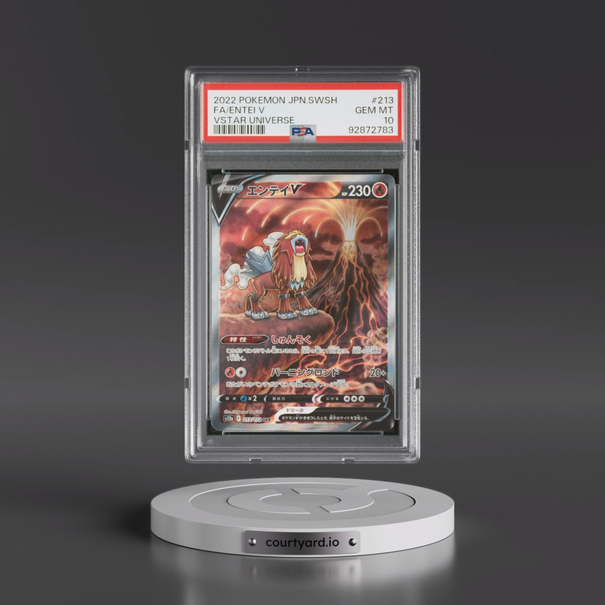 2022 Pokémon Sword & Shield Vstar Universe #213 Entei V - Holo Full Art (PSA 10 GEM MINT)